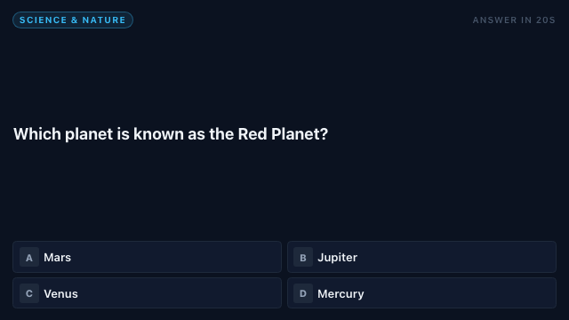 Trivia — Demo · example content